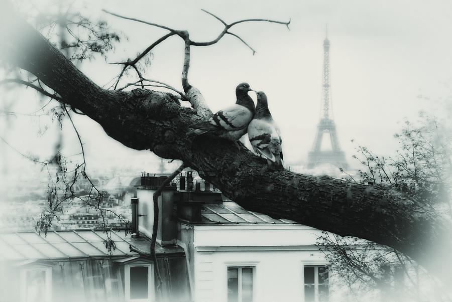 kiss you in Paris Photograph