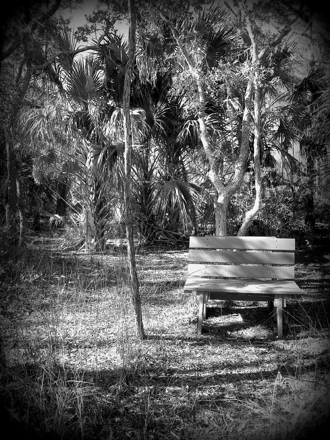 Kissing Bench I Photograph by Sheri McLeroy