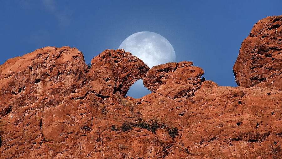 Kissing Camels and The Moon Photograph by David Soldano
