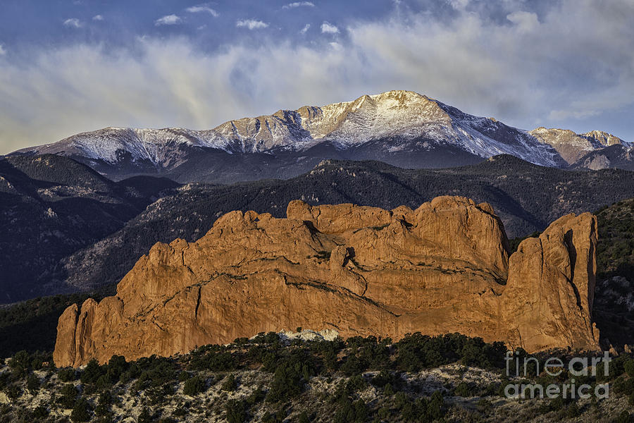 Colorado Springs Photograph - Kissing Camels by Michael Goodell