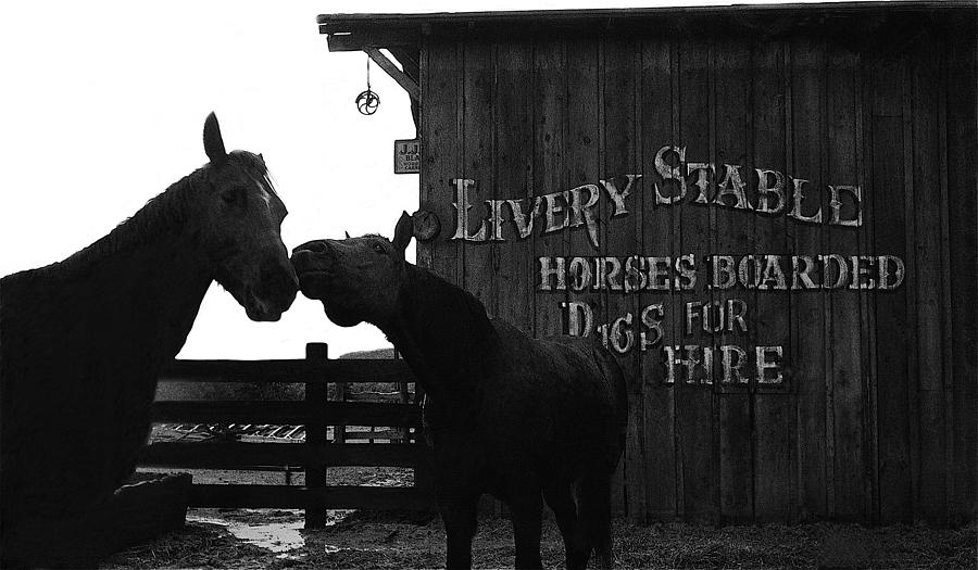 Kissing horses Joe Kidd set Old Tucson Arizona 1972 Photograph by David Lee Guss