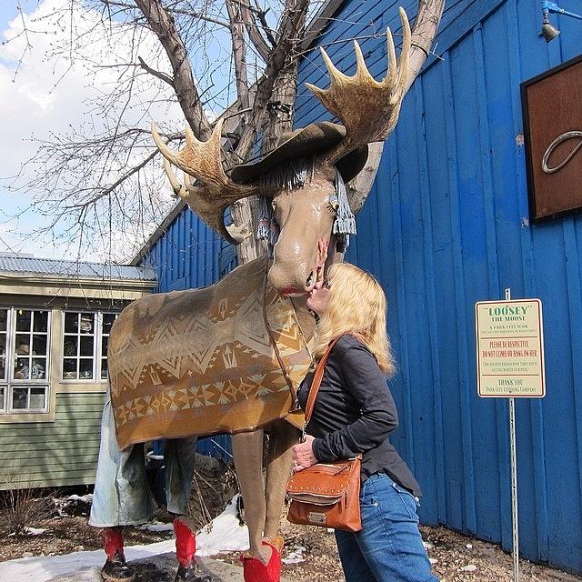Kissing The Town Moose! Photograph by Susan Neufeld