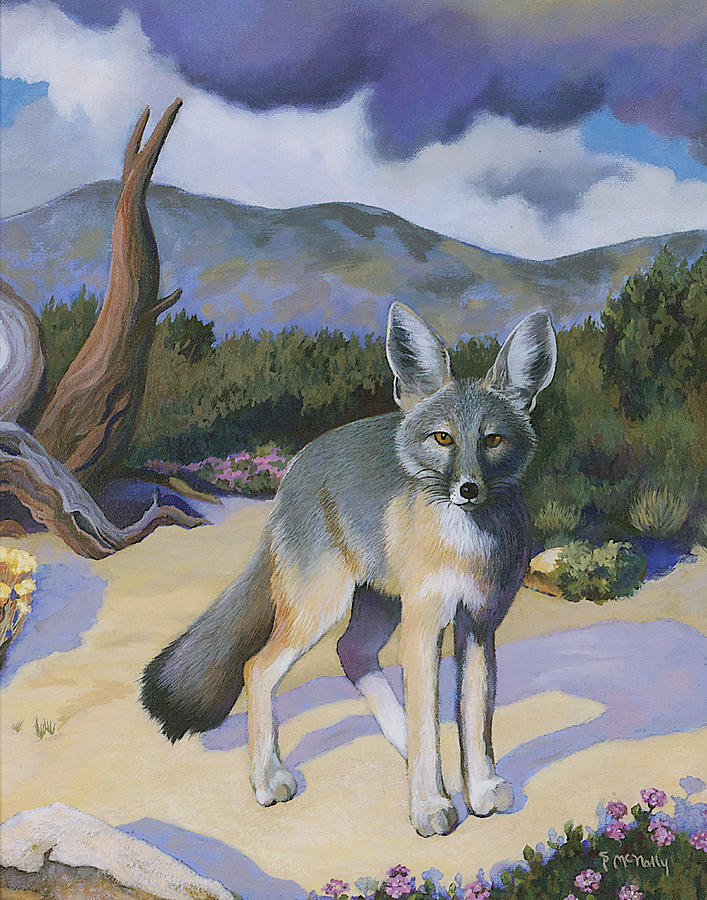 Kit Fox Painting by Susan McNally