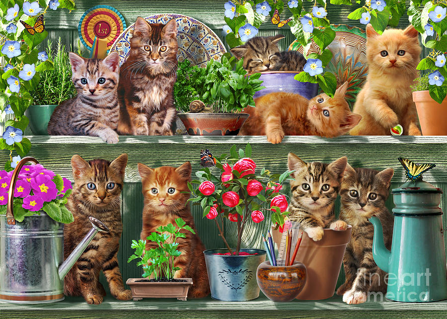 Cat Digital Art - Kitchen Cats by MGL Meiklejohn Graphics Licensing