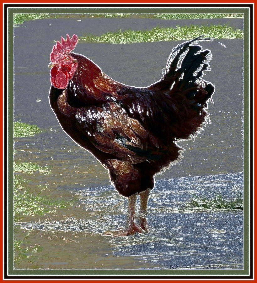 Decorative Rooster Photograph by Kathy Barney
