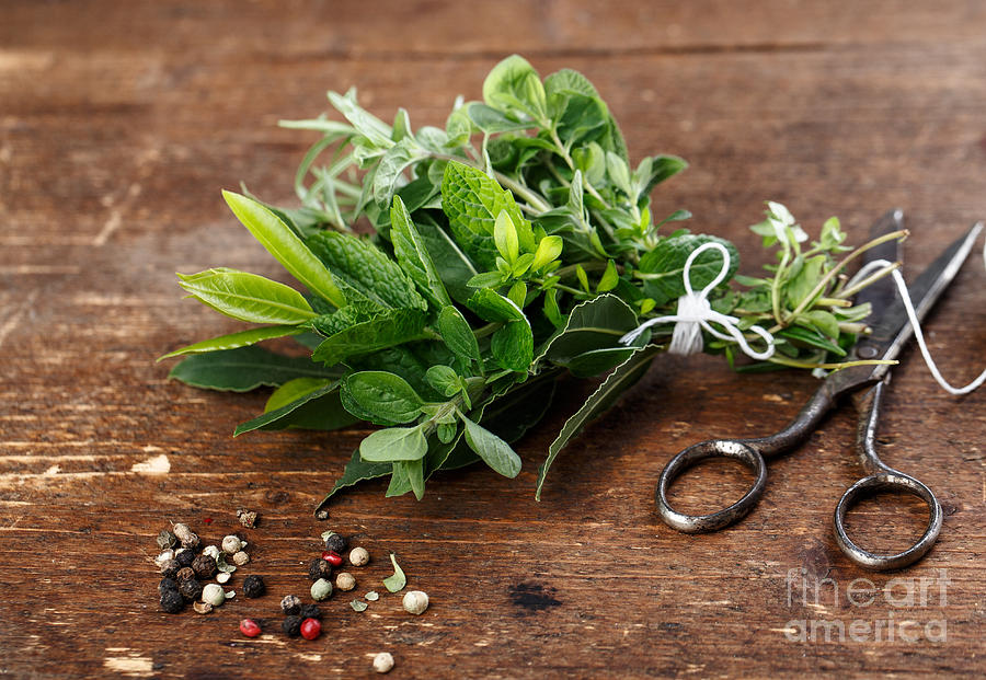 Lace Photograph - Kitchen Herbs by Nailia Schwarz