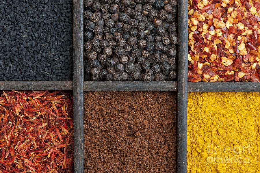 Kitchen Spices Photograph by Tim Gainey