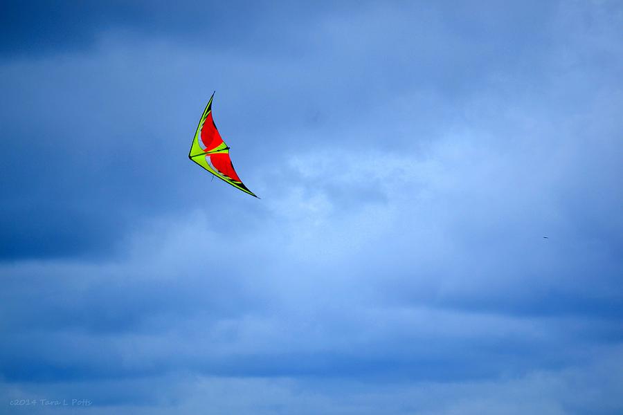 Kite at Jockeys Ridge Photograph by Tara Potts