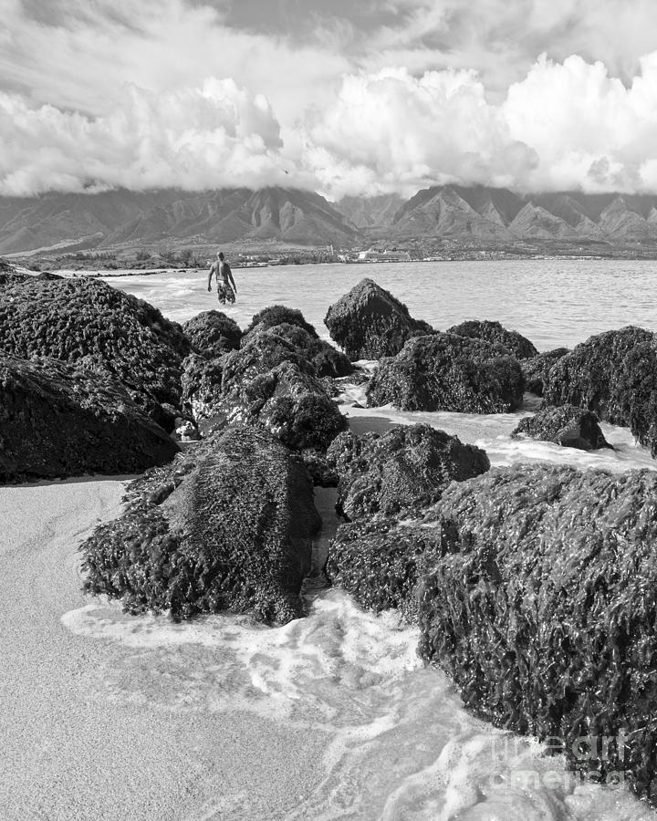 Kite Beach Maui Hawaii Photograph by Edward Fielding
