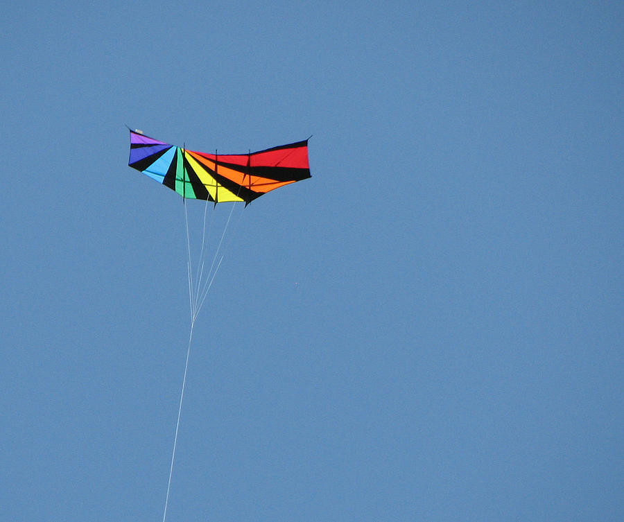 Kite festival-1 Photograph by Shari Jones