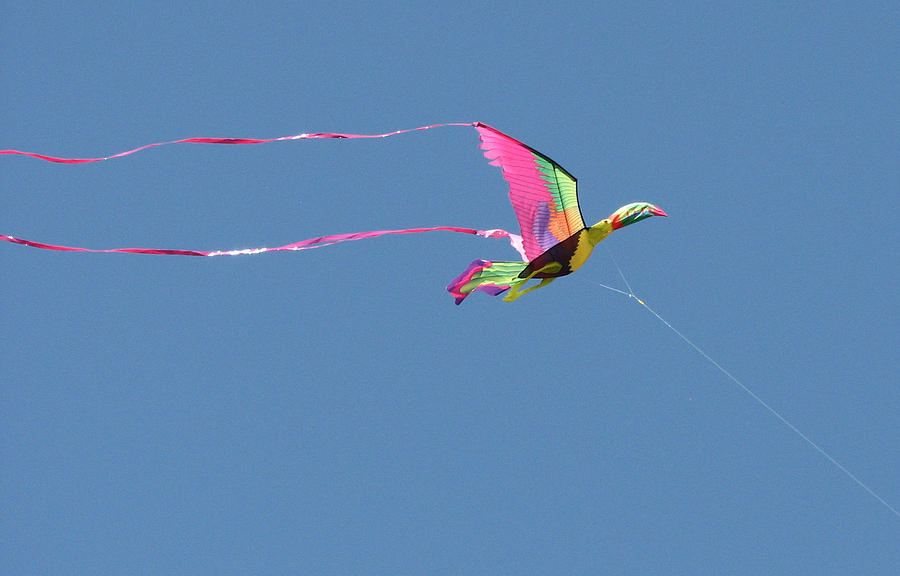 Kite Festival-4 Photograph by Shari Jones