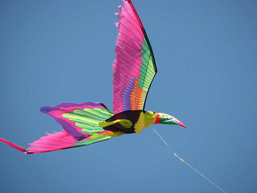 Kite festival-5 Photograph by Shari Jones