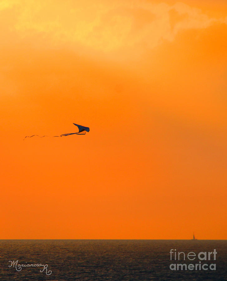 Kite-Flying at Sunset Photograph by Mariarosa Rockefeller