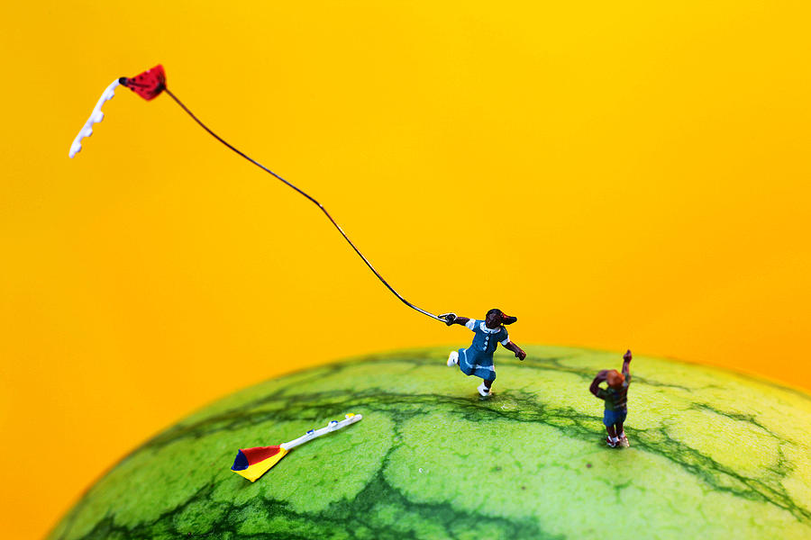 Unique Photograph - Kite runner on watermelon by Paul Ge