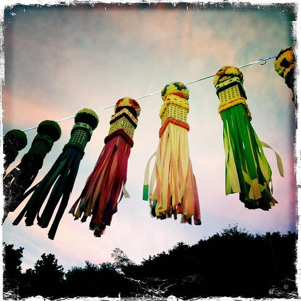 Johns Photograph - Kites #hipstamatic #johns by Alex Snay