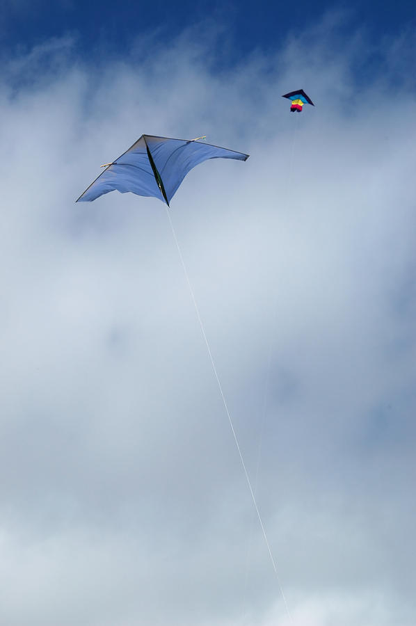 Kites on high Photograph by Rob Huntley