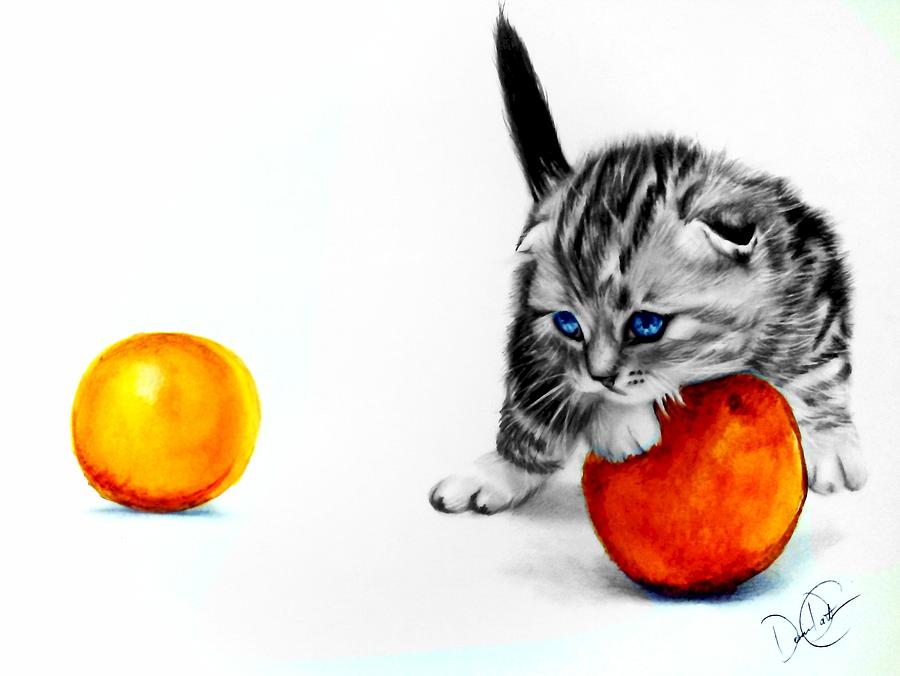 Kitten and Oranges Drawing by Desire Doecette