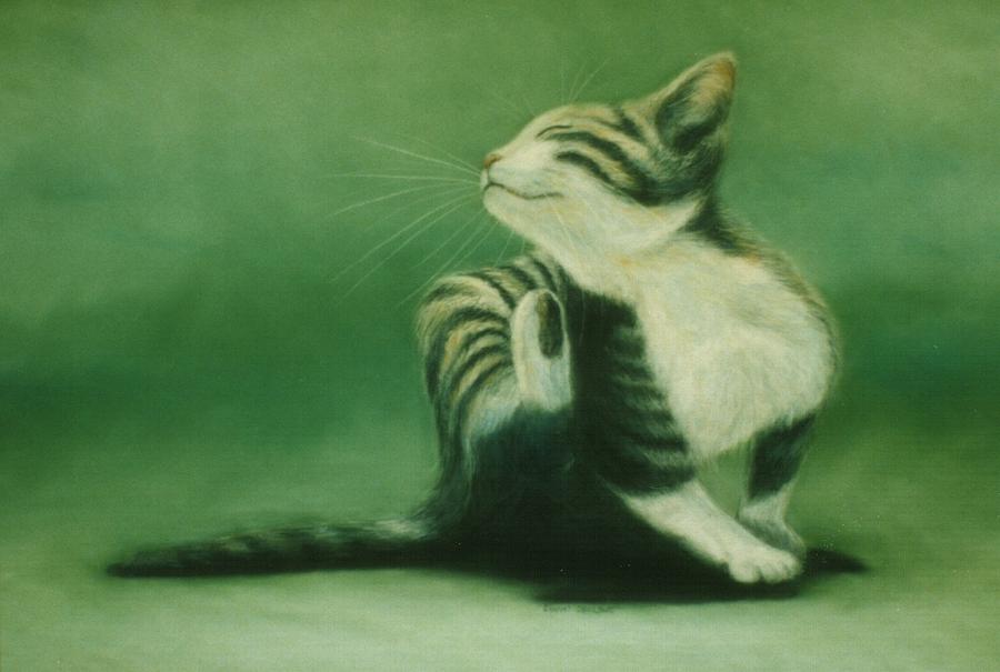 Cat Digital Art - Kitten Bliss by Sharon Challand
