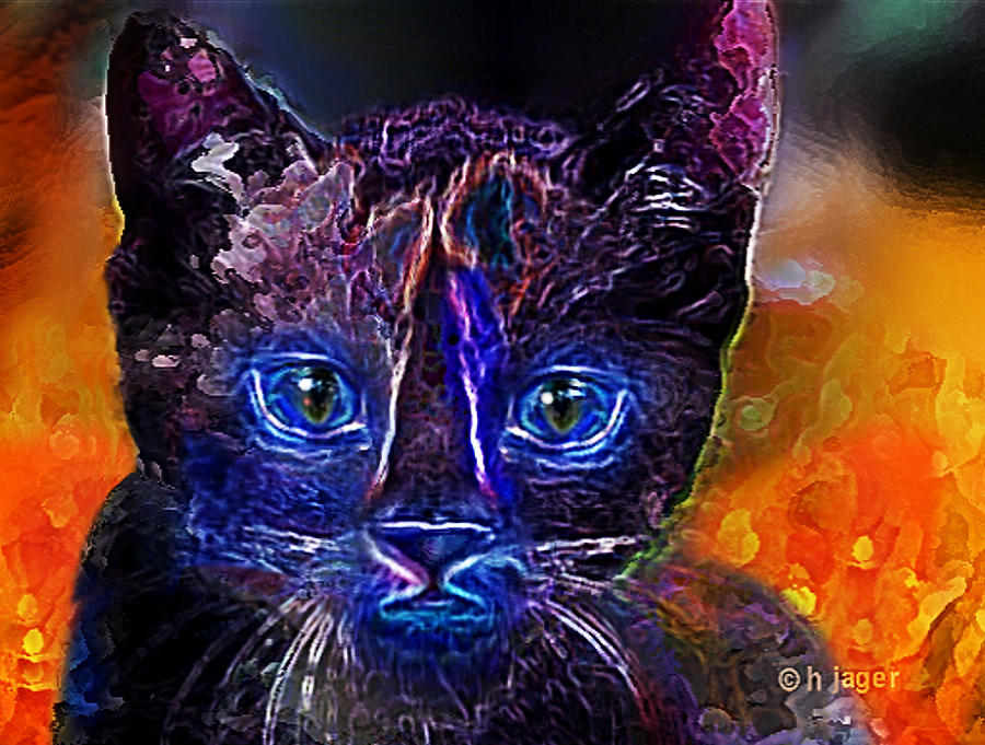 Kitten  Blue Painting by Hartmut Jager