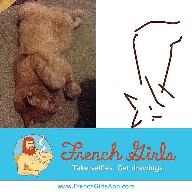 Kitten, By Me. #frenchgirls Photograph by Zeke Rice