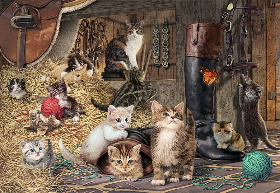 Cat Photograph - Kitten Capers by MGL Meiklejohn Graphics Licensing