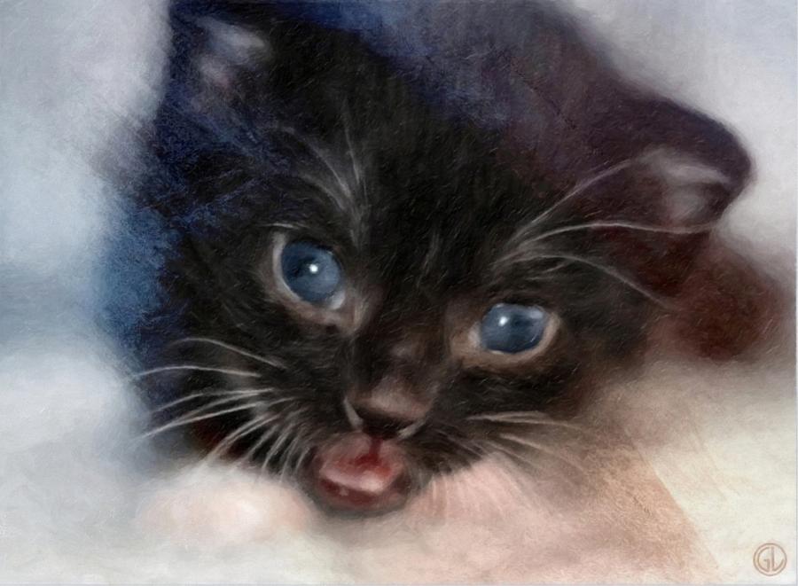 Kitten Digital Art by Gun Legler