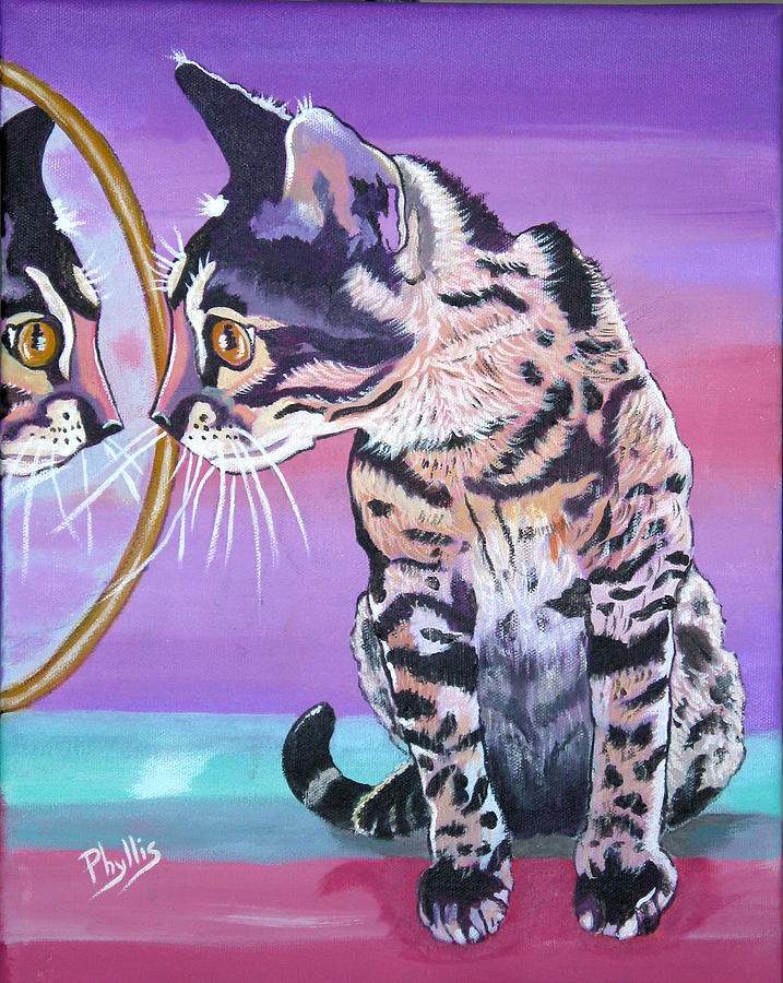 Kitten Image Painting by Phyllis Kaltenbach