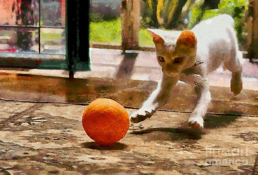 Kitten With Ball Photograph