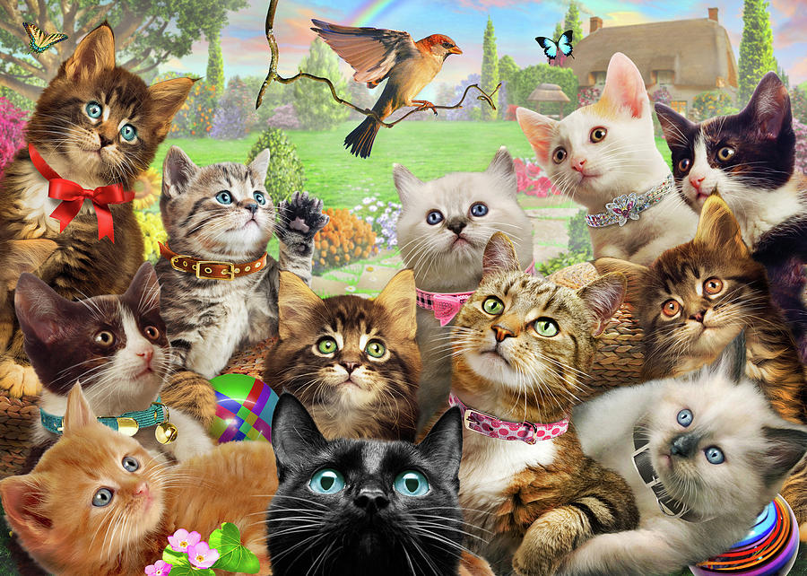 Cat Painting - Kittens And Bird Europe by MGL Meiklejohn Graphics Licensing
