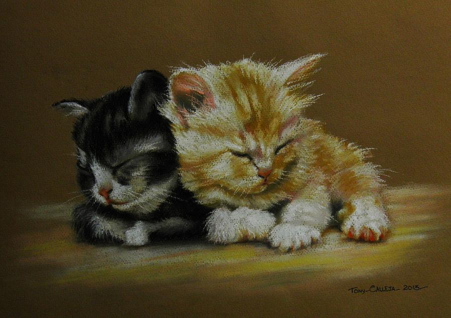 Kittens asleep Pastel by Tony Calleja