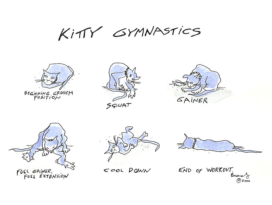 Kitty Gymnastics Drawing by Molly Brandenburg