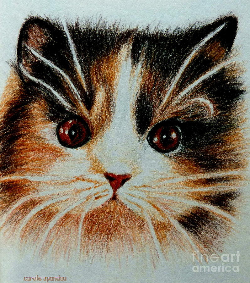 Kitty Kat Iphone Cases Smart Phones Cells And Mobile Phone Cases Carole Spandau 300 Painting by Carole Spandau