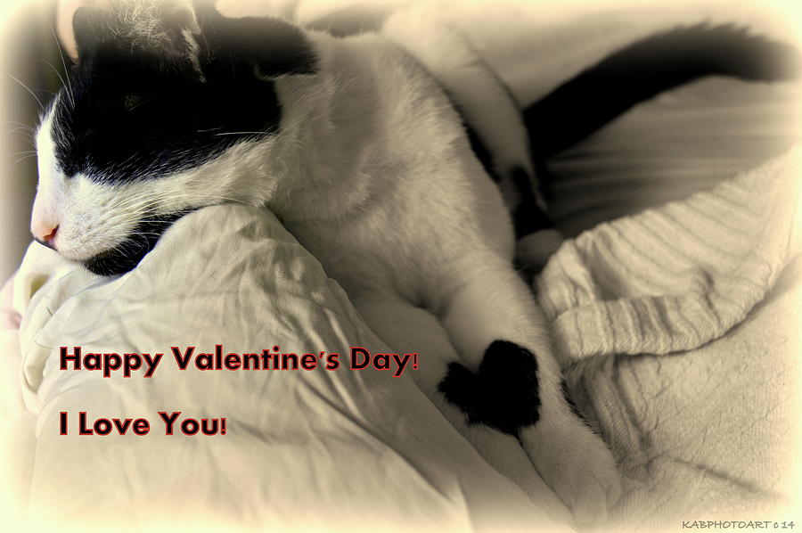 Kitty Valentines Day Card or Poster Photograph by Kathy Barney