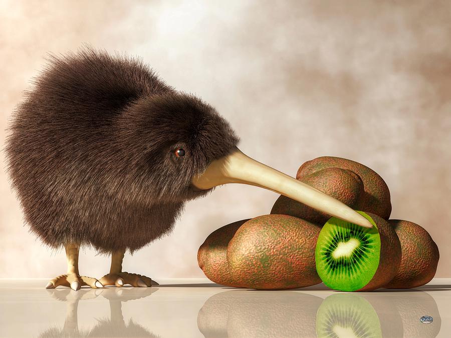 Kiwi Digital Art - Kiwi Bird and Kiwifruit by Daniel Eskridge