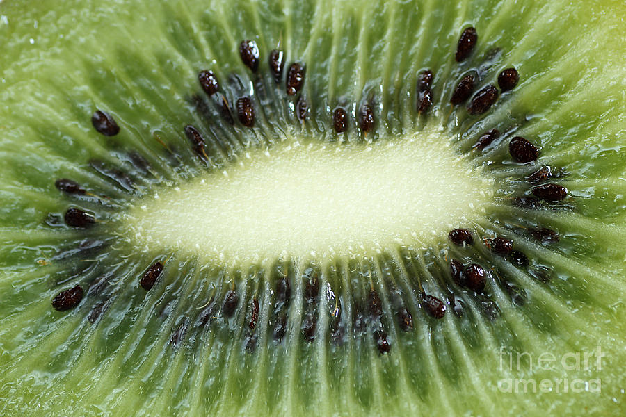 Nature Photograph - Kiwi by Darren Fisher