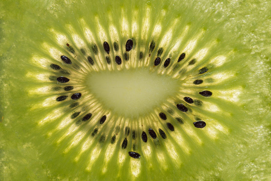 Kiwi Photograph - Kiwi Detail by Steve Gadomski