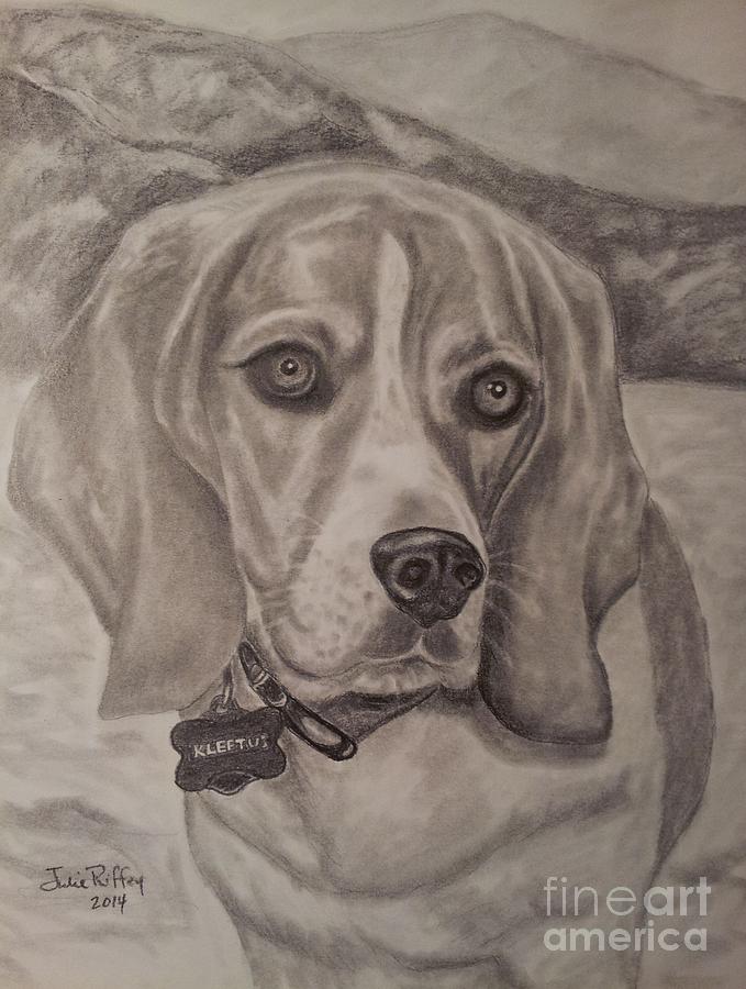 Kleetus - The Beagle Drawing by Julie Brugh Riffey