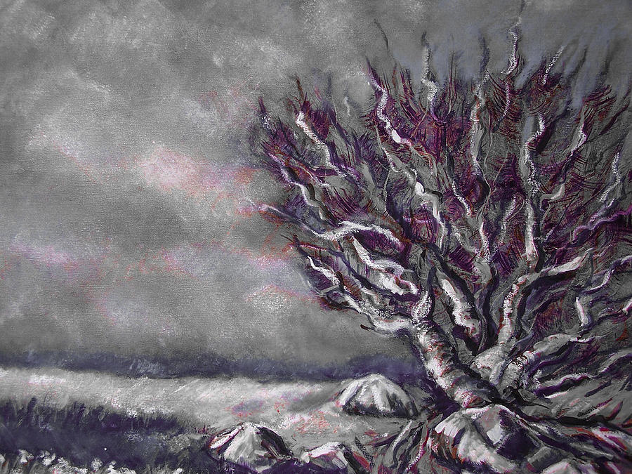 Oil On Canvas Painting - Knarly Tree by Jon Shepodd Oil On Canvas Painting - Knarly Tree by Jon Shepodd