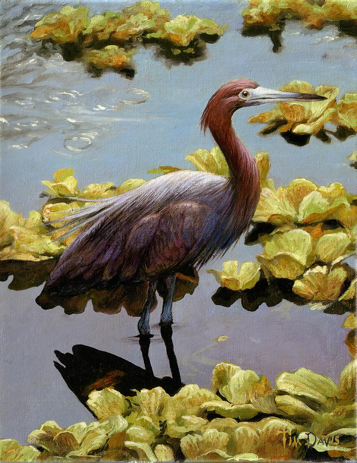 Heron Painting - Knee Deep by Tim Davis