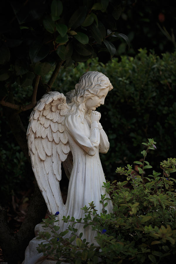 Kneeling Angel Photograph by Kathleen Scanlan