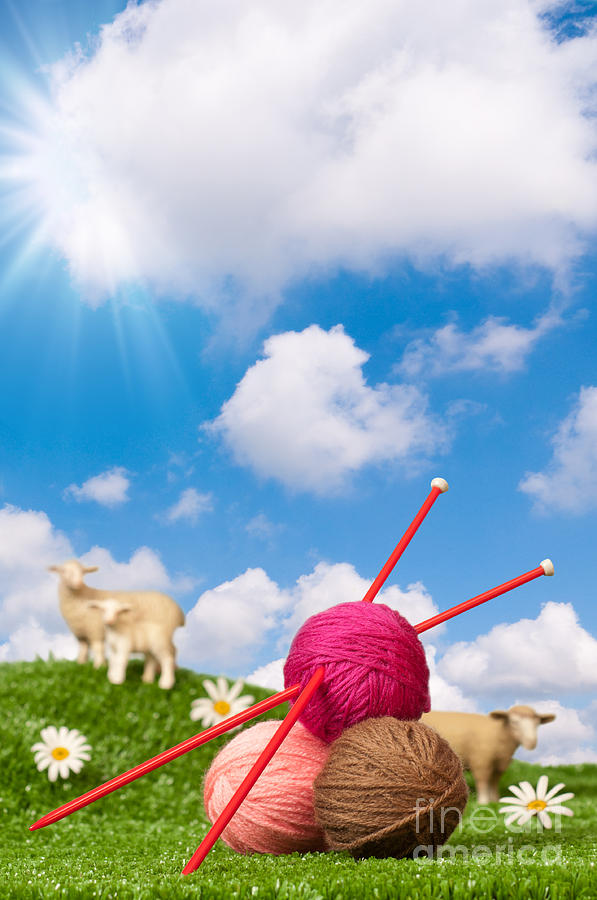 Sheep Photograph - Knitting Yarn With Sheep by Amanda Elwell