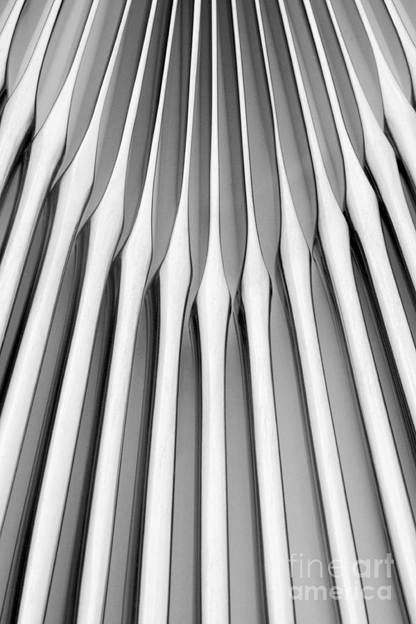 Black And White Photograph - Knives II by Natalie Kinnear