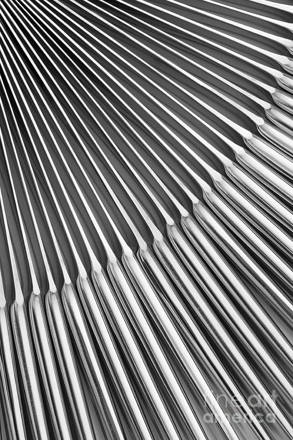 Black And White Photograph - Knives IV by Natalie Kinnear