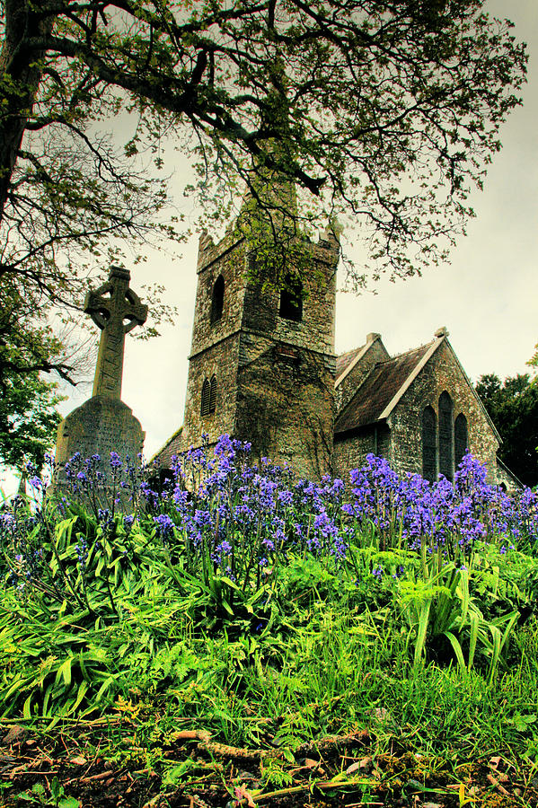 Knockainey Bluebell Church Photograph by Mark Callanan