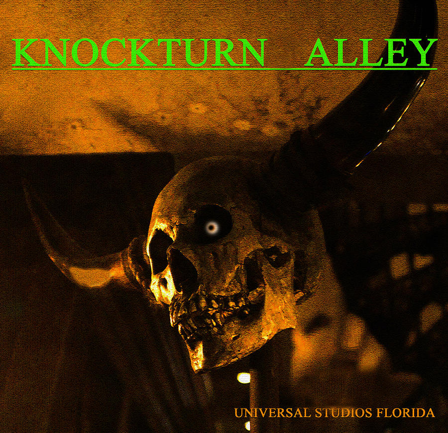 Knockturn Alley skull poster work A Photograph by David Lee Thompson