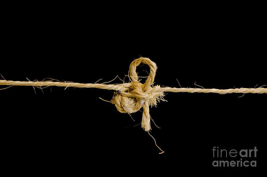 Knot  Photograph by Perry Van Munster