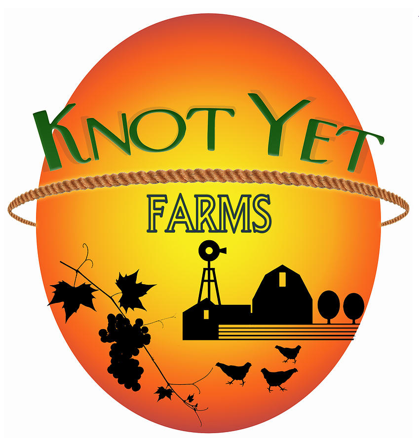 Knot Yet Farms Logo 1 Digital Art by Ric Bascobert