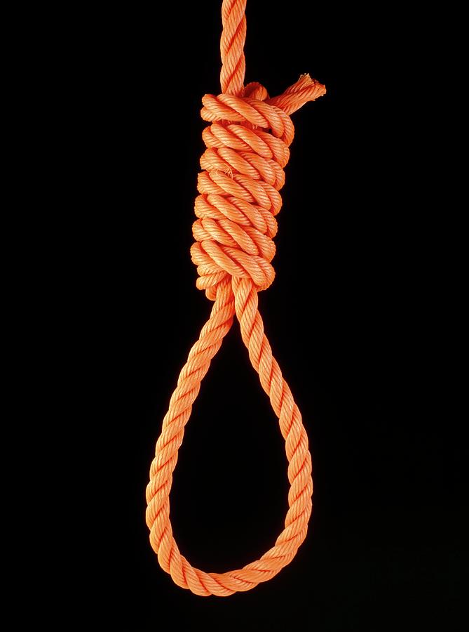 Knots: A Hangman's Noose by Adam Hart-davis/science Photo Library