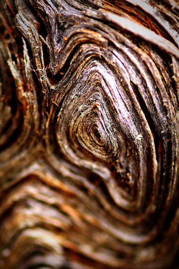 Knots by Jacqui Collett Knots by Jacqui Collett