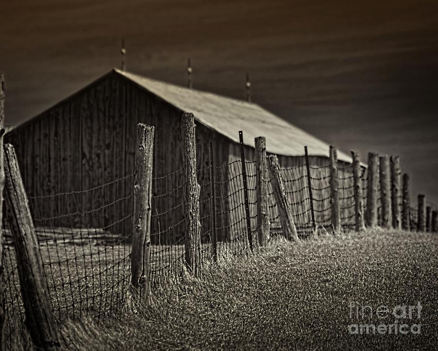 Farm Photograph - Knotted Wire Fence by Henry Kowalski
